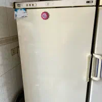 یخچال فریزر دوقلو پارس