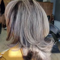 خدمات رنگ ولایت