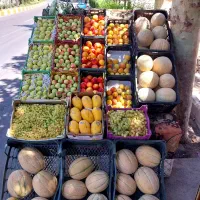 نیروی کار  میوه فروشی