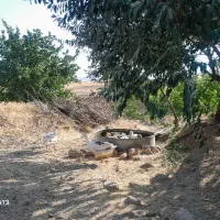 غاز محلی