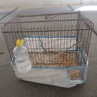 قفس متوسط با وسایل