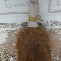 جارو فروشی