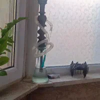 قیلیون میوه ای