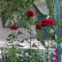 باغ ویلایی روستای کهل بعد از روستای ایوند