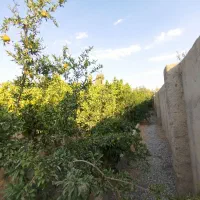 فروش-باغچه-به-همراه-بنا
