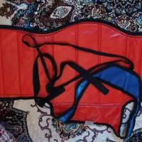 هوگو