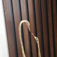 قوی عاشق