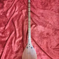 سه تار استاد مفیدی