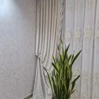 پرده|پرده، رانر، رومیزی|باغستان, |دیوار