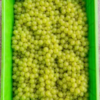 سبد|فروشگاه و مغازه|خمین, |دیوار