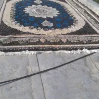 فرش|فرش|کرمانشاه, |دیوار