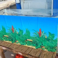 آکواریوم نسبتا بزرگ با تمامی وسایل مورد نیاز.