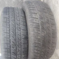 لاستیک185 رانا