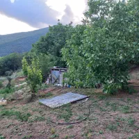 فروس-زمین-مسکونی-باغی-روستایی