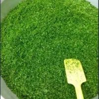 سبزی