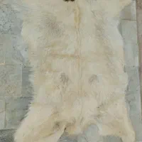 قالیچه پوست بز