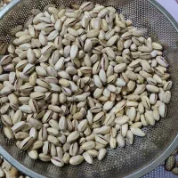 پسته دست چین اکبری