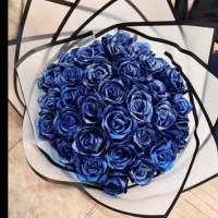 انواع گل ربانی شاخه ای ۲۵ تومان