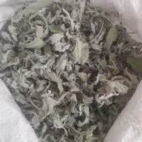 پونه خشک