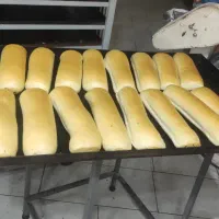 به یک شاطر فانتری کار نیازمندیم