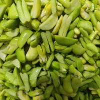 باقالی تازه وامسالی