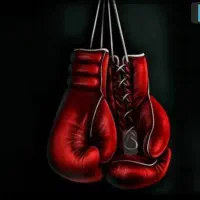 آموزش اصولی کیک بوکس و موی تای در محل