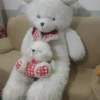 عروسک|اسباب‌‌بازی|مبارکه, |دیوار