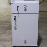 ترولی آرایشگاهی