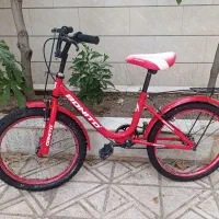 دوتادوچرخه سایز ۲۰بونیتو
