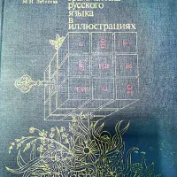 اموزش زبان روسی (پادفک) در استان یزد، ۱۵ سال تدریس