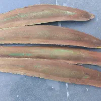 غلاف طارونه نخل