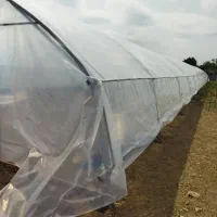 فروش دو سالن گلخانه یکسال ساخت