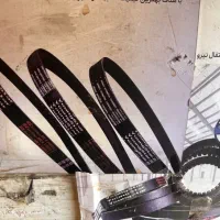 فروش تسمه های تایلندی young star  کولری