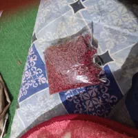 زرشک در سرخ کویر
