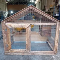 لونه چوبی پرندگان