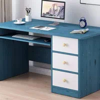 استخدام خدمات اینترنتی وطراحی