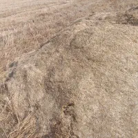 اهواز جاده اندیمشک روستای الباجی