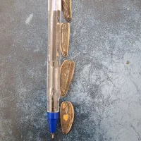 تخمه گل آفتاب سایز۱۸۰دانه