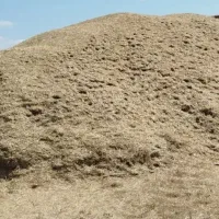 کاه
