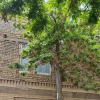دربست ویلایی  (رهن و اجاره)