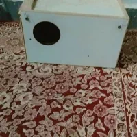 لونه عروس هلندی