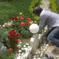 سمپاشی و باغبانی تخصصی در تهران