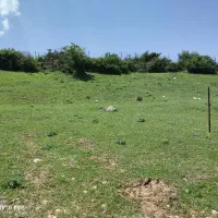 زمین-مسکونی-در-اسپیلی-دیلمان