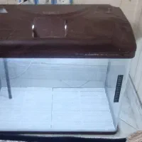 آکواریوم شیشه خم