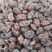 کشمش آفتابی امسال درجه یک کیلویی ۳۰۰  ابهر