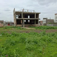 خانه ویلایی. جنگلی