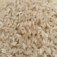 برنج کامفیروزی یکدست درجه یک
