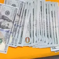 شریک کاری خانم اتباع