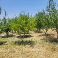 فروش زمین به متراژ ۲۰۰۰ متر مربع درغفاربهی ارومیه