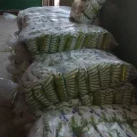 نمک فیال دارای مجوز و پروانه بهداشت و استاندارد